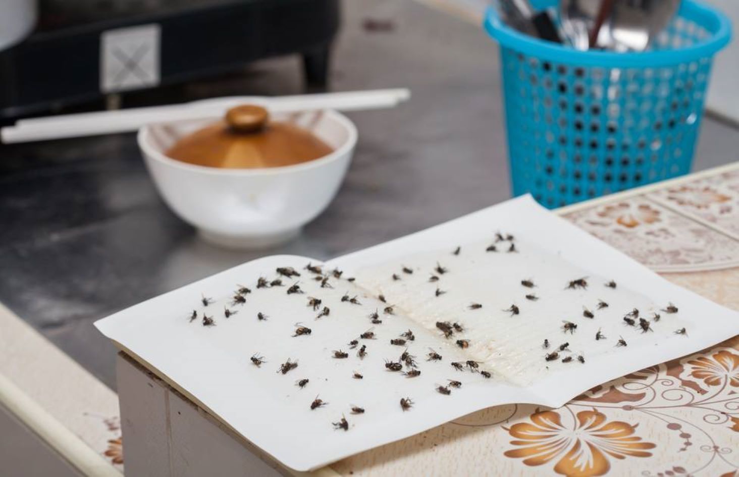 muste, restaurant, Spania, mancare