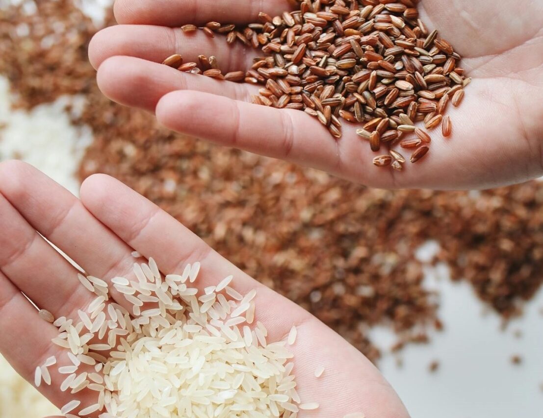 Orez alb vs. orez brun