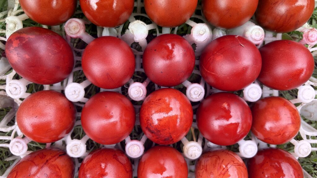 Recomandări ale specialiştilor INSP