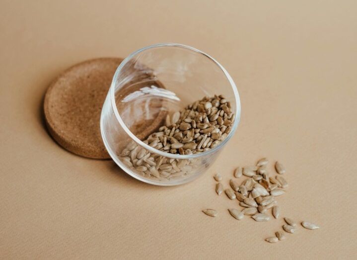 semințe, nutriție, alimentație sănătoasă