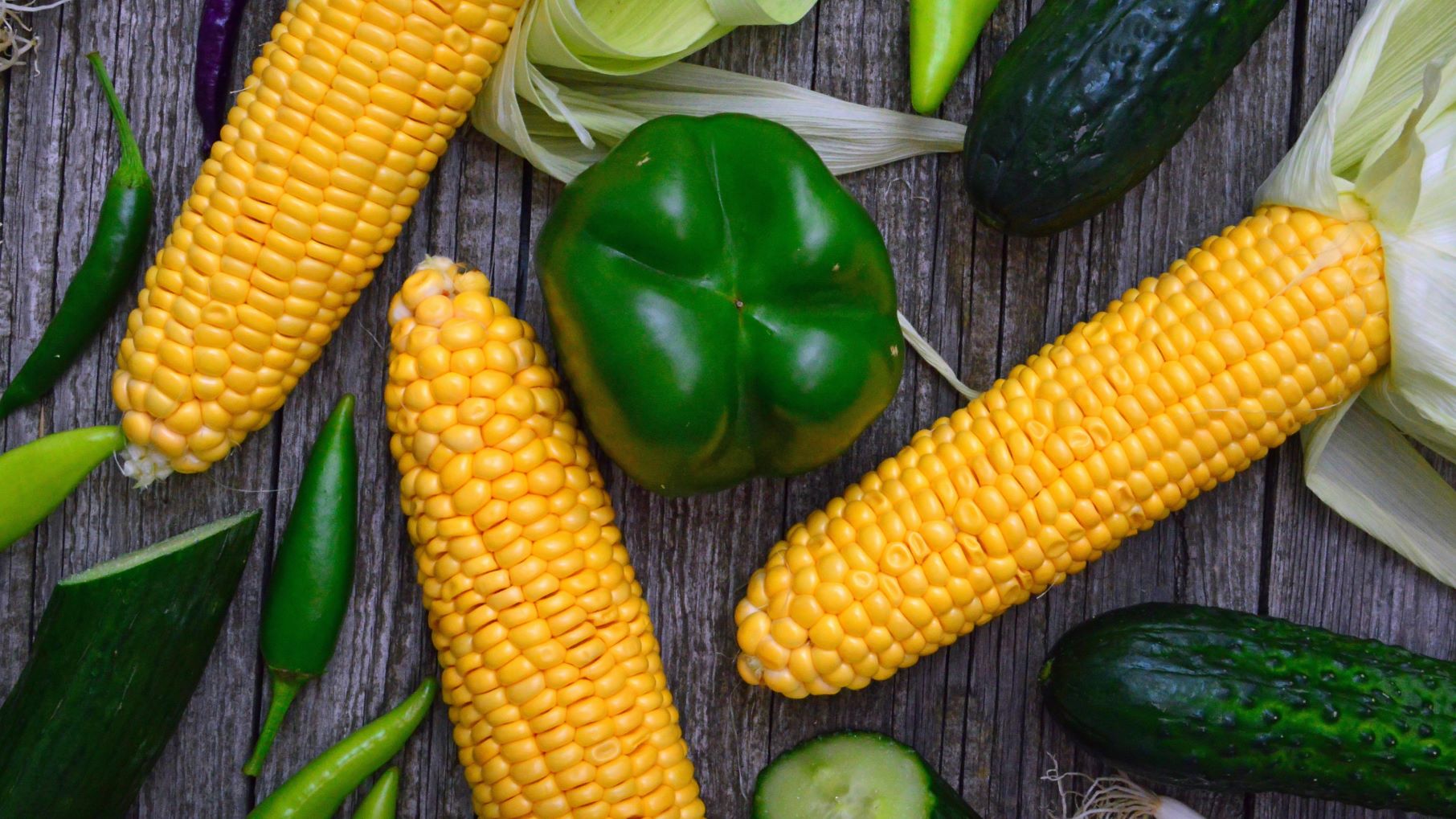 productia agricola 2023, Institutul National de Statistica,