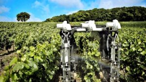sampanie, moet & chandon, robot, yanmar