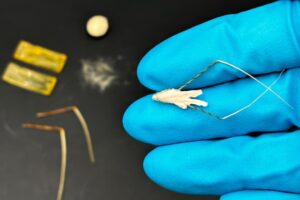 seminte, robot, ovaz salbatic, hybribot