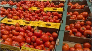 tomate, sfaturi, lucian dragomir, rosii