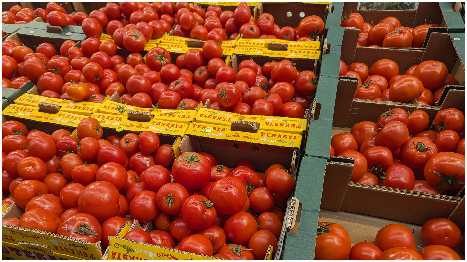 tomate, sfaturi, lucian dragomir, rosii