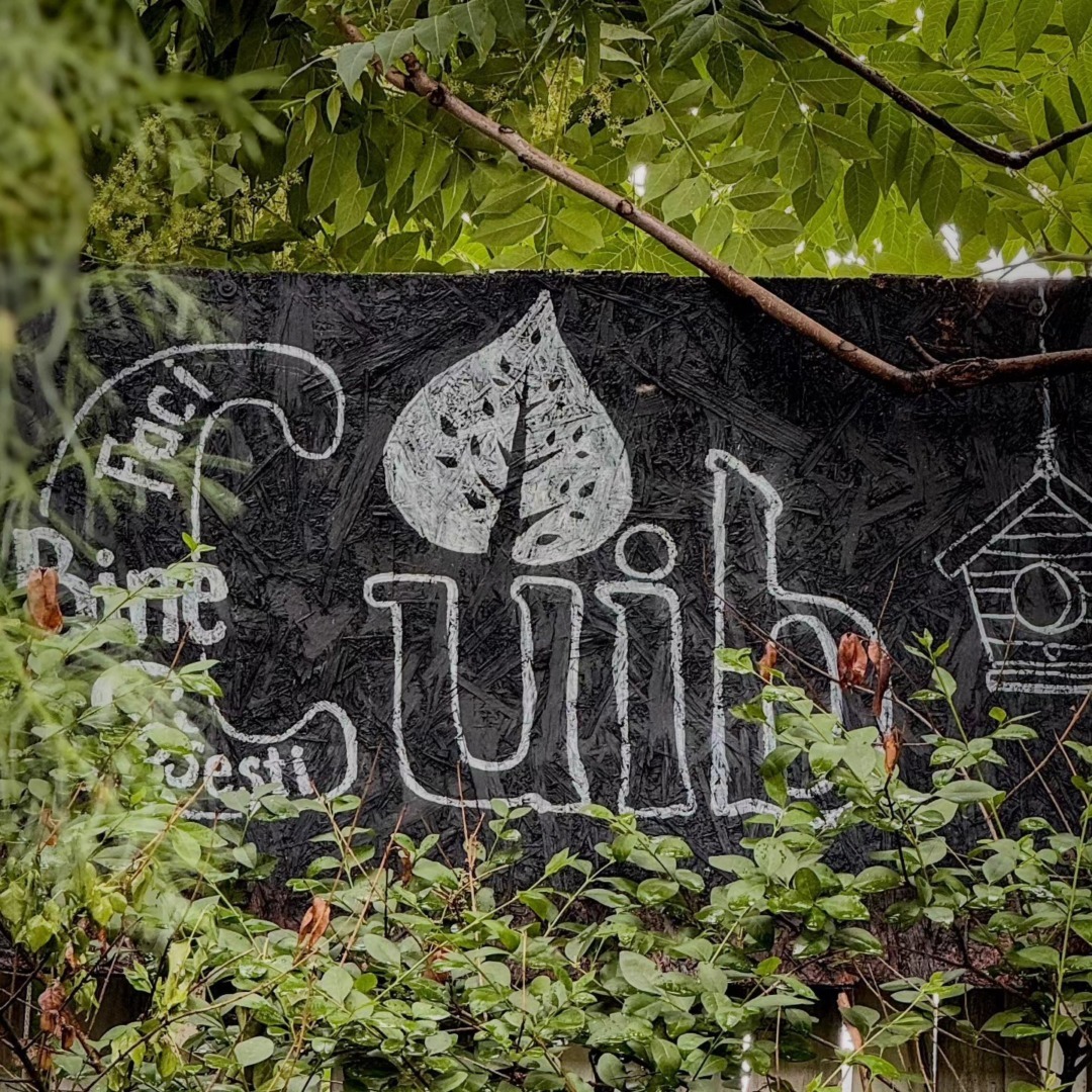 vegan, restaurante, top5, România