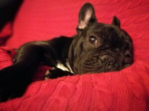 WhatsApp Image 2024-06-07 at 16.22.06