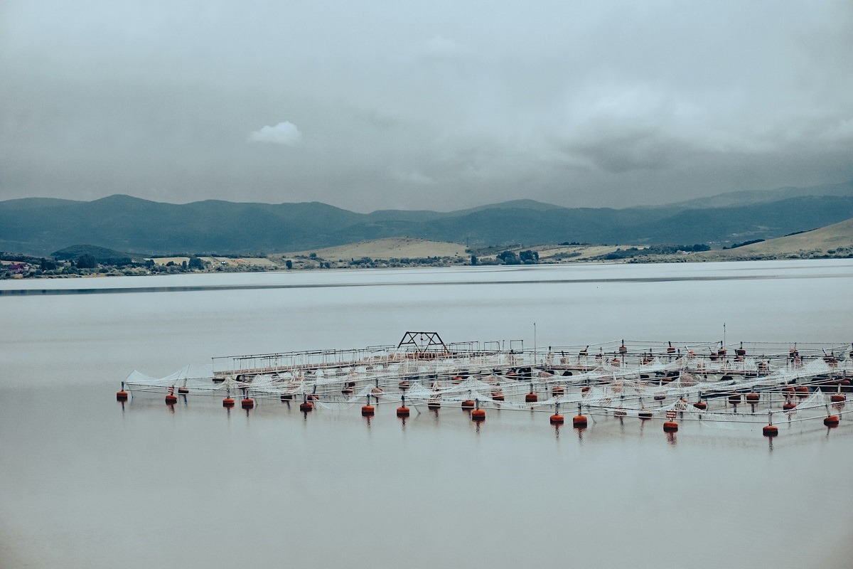 EPPO a pus sub acuzare doua persoane care au accesat fonduri destinate dezvoltarii acvaculturii