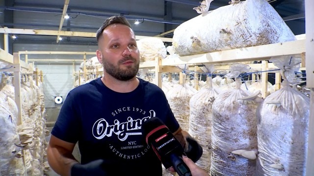 Alexandru Barabas este orășean mutat la țară