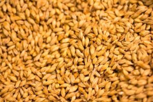 orz, beneficii, consum, gladiatori