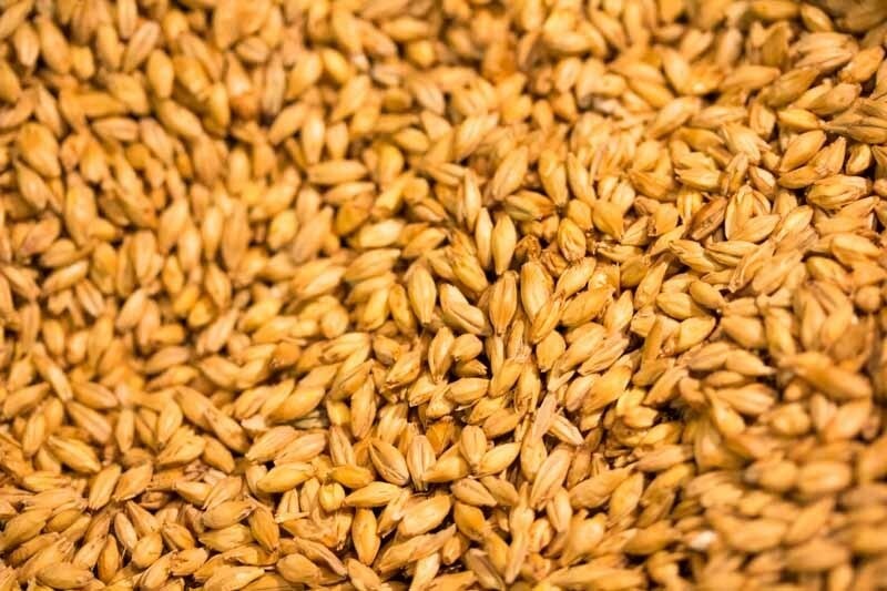 orz, beneficii, consum, gladiatori