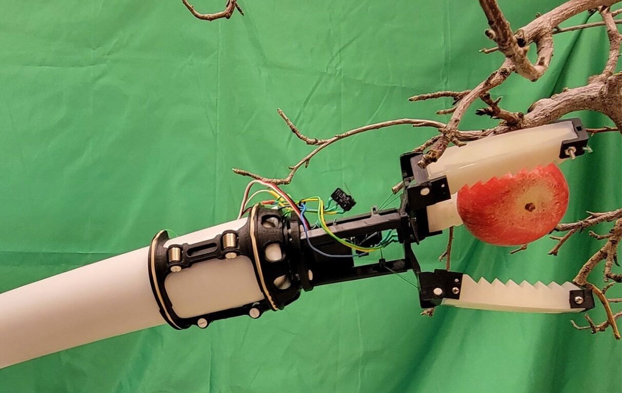 robot, mere, washington, recoltare