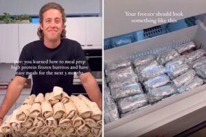 tanar, burrito, congelator