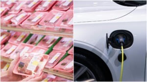 lactate, carne, masini electrice, china