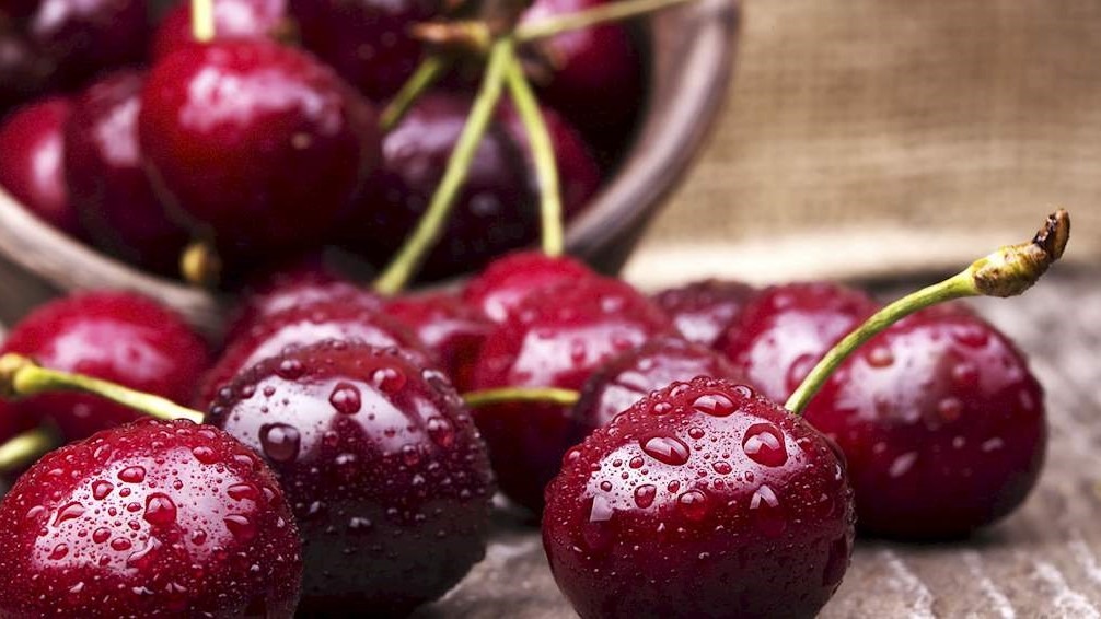 cirese, Taste Atlas, Polonia, Wiśnia nadwiślanka