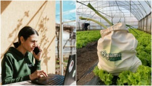 fermieri cu valoare adaugata, legume verzi, legume, zacusca