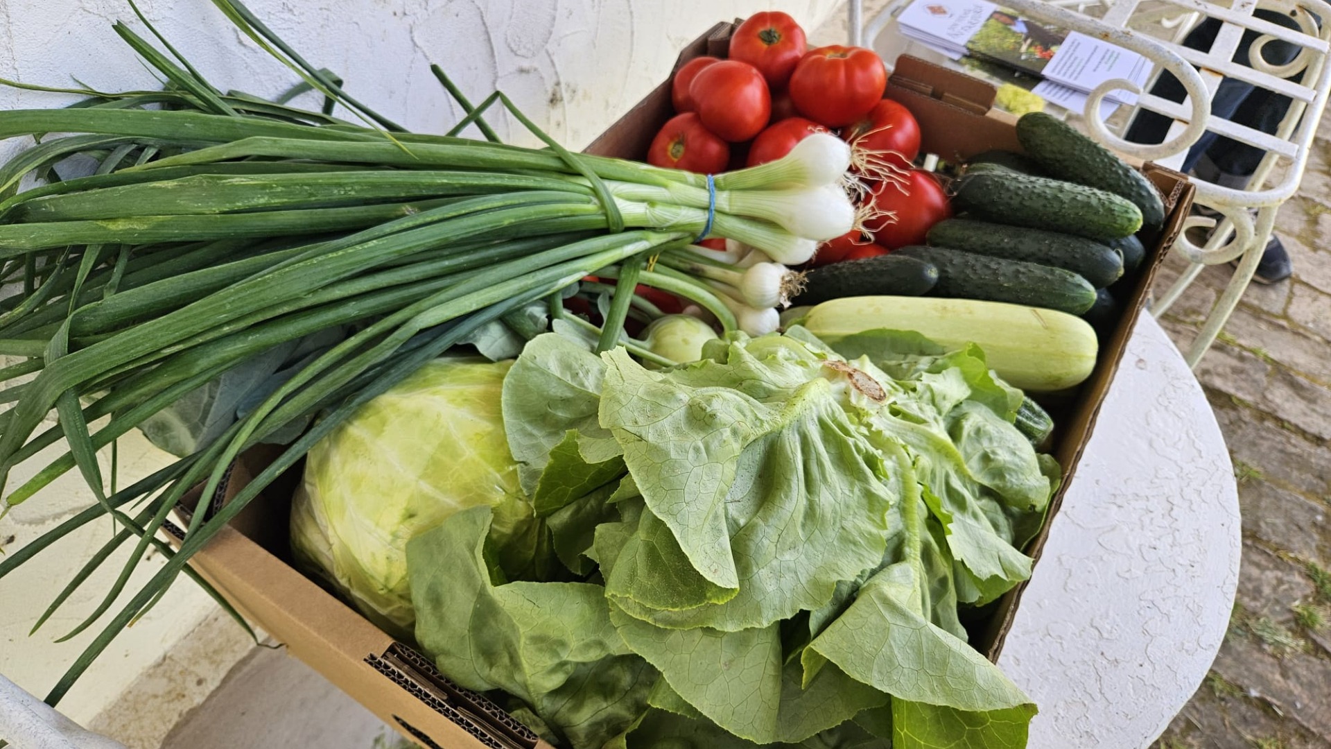 cosulgustos.ro, lansare, legume, cutii