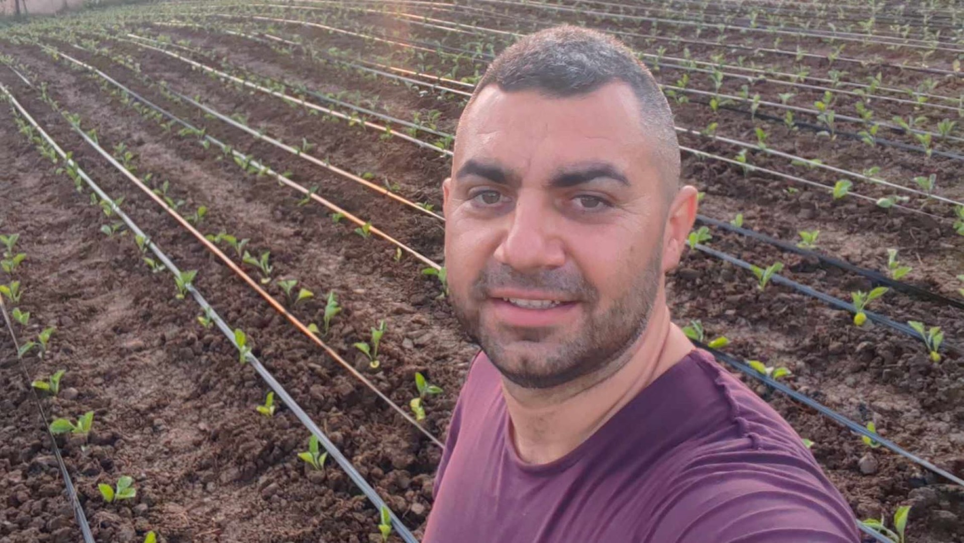 rosii, Ionut Didea, Gorj, pretul rosiilor