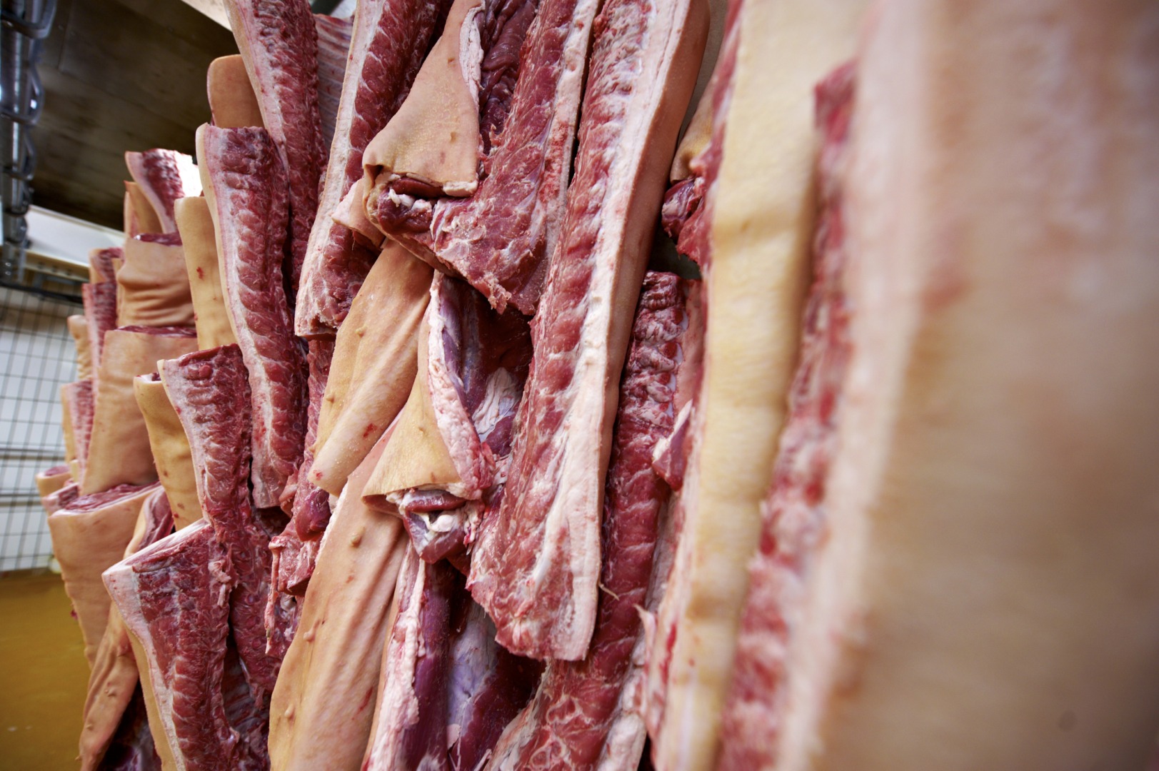 porc, brazilia, germania, olanda