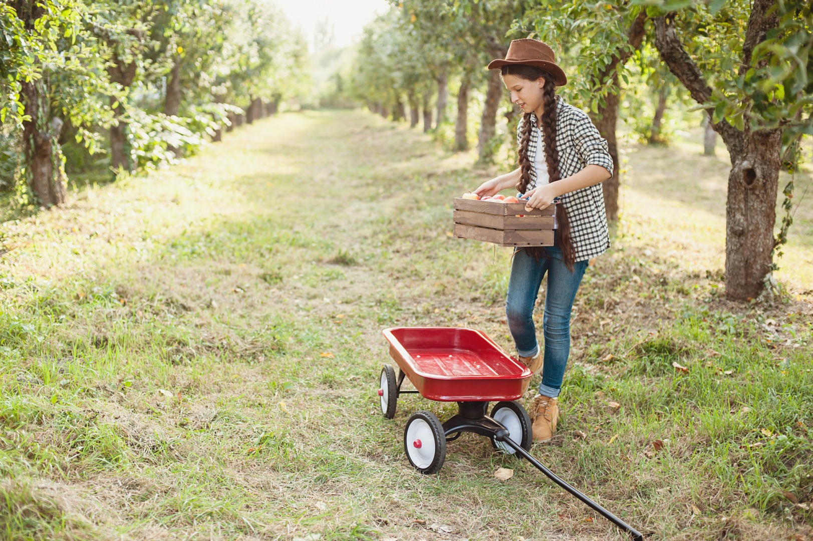 afir, ghid, licee agricole, liceu