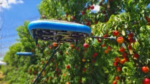 drone, tevel, fructe, bill gates