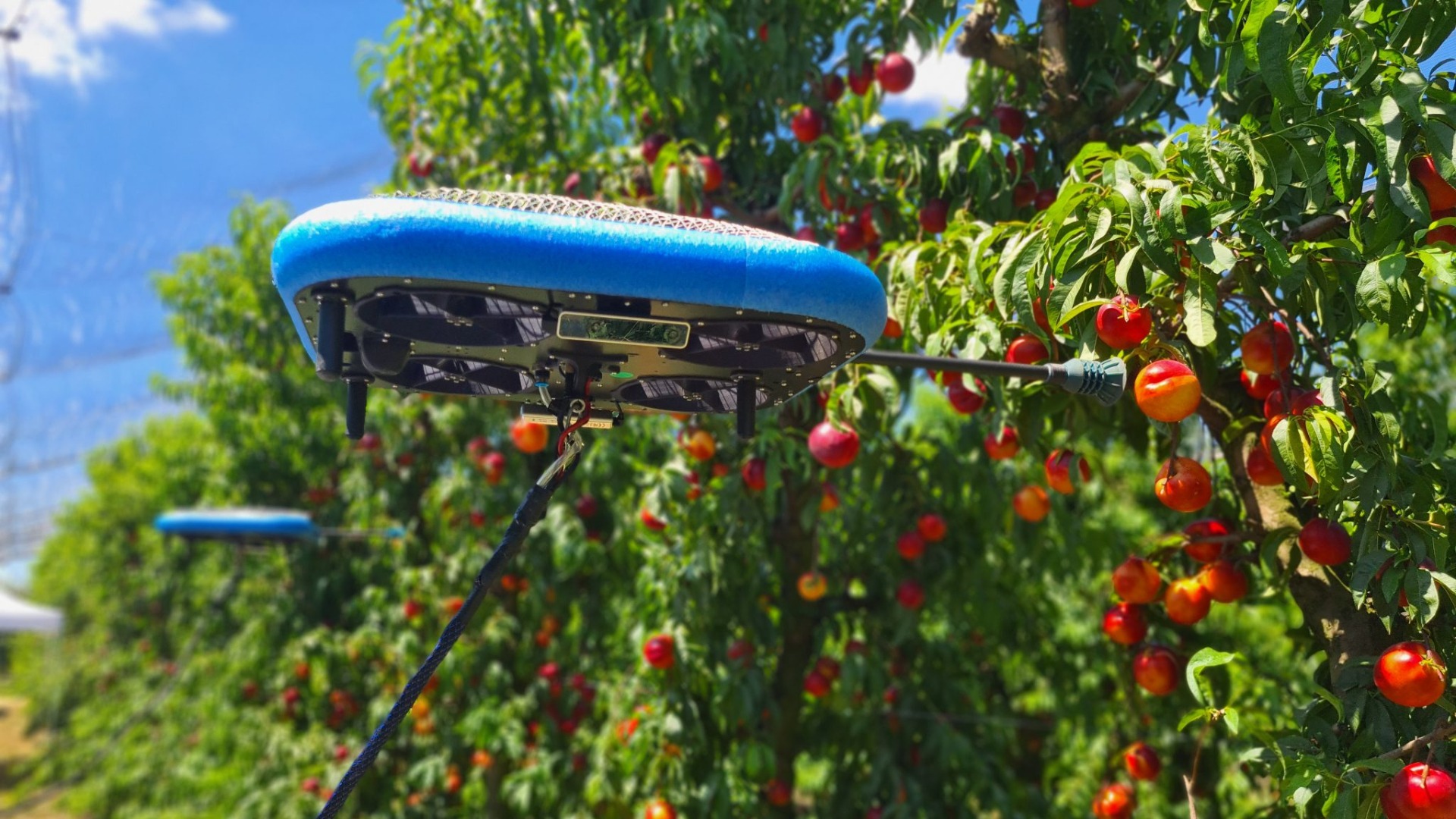 drone, tevel, fructe, bill gates