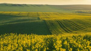 Ministerul Agriculturii