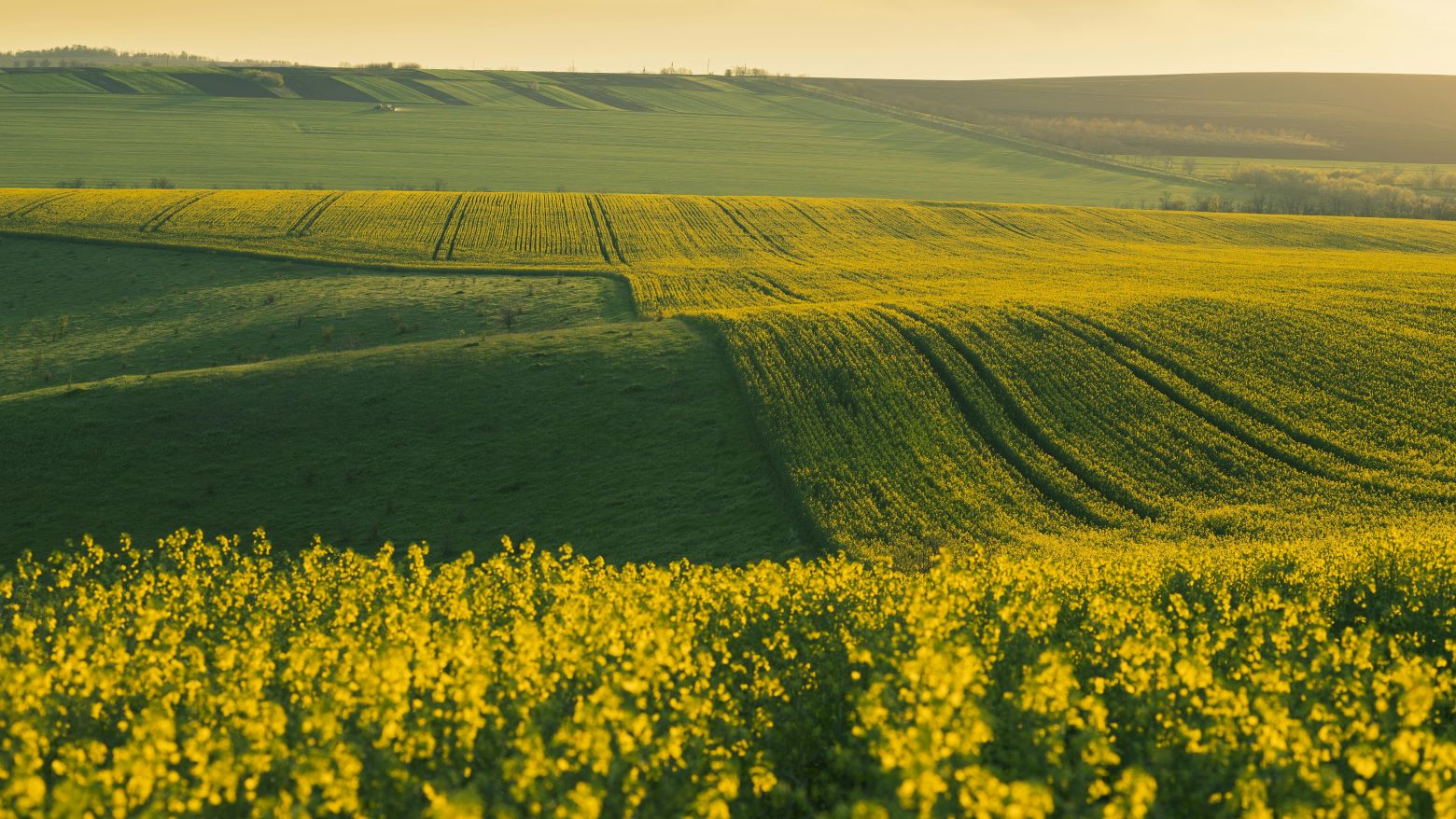 Ministerul Agriculturii
