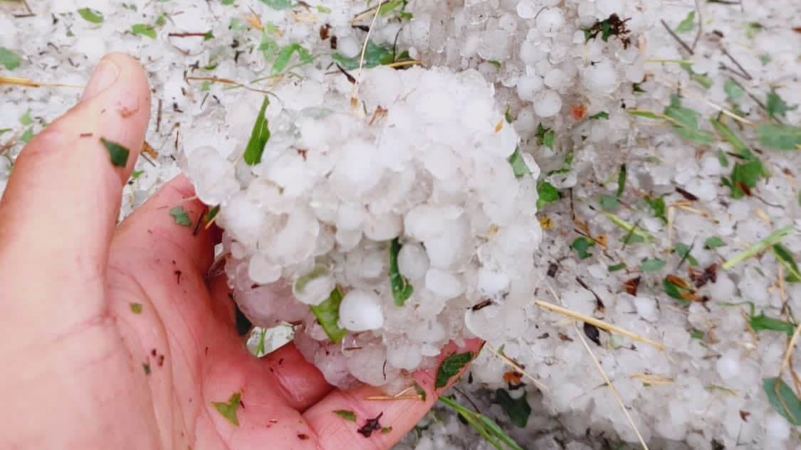 culturile-agricole-din-judetul-Vrancea-afectat-grindina-de-mari-dimensiuni