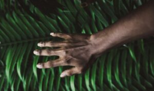 artrita, inflamatie, alimente care reduc inflamatia, alimente antiinflamatorii, foodlife,