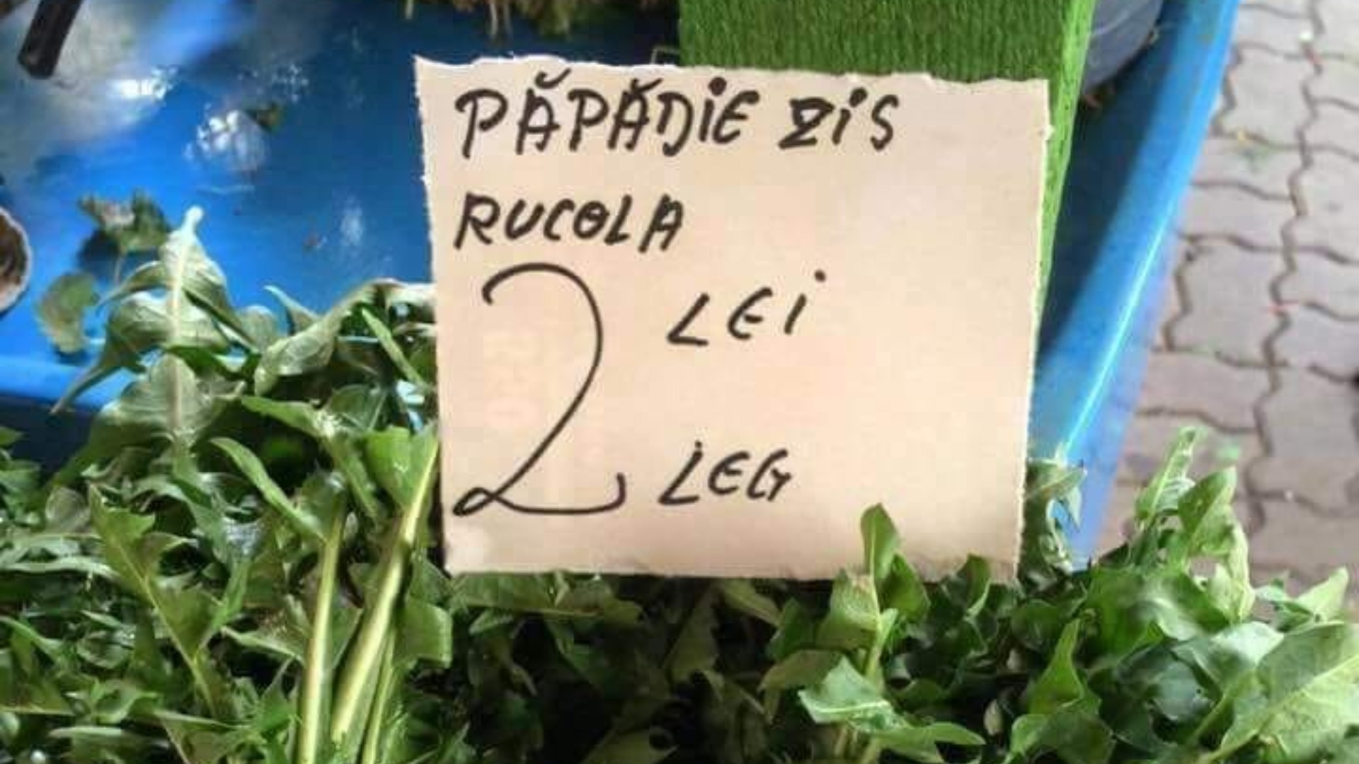 rucola, papadie, susai, diferente