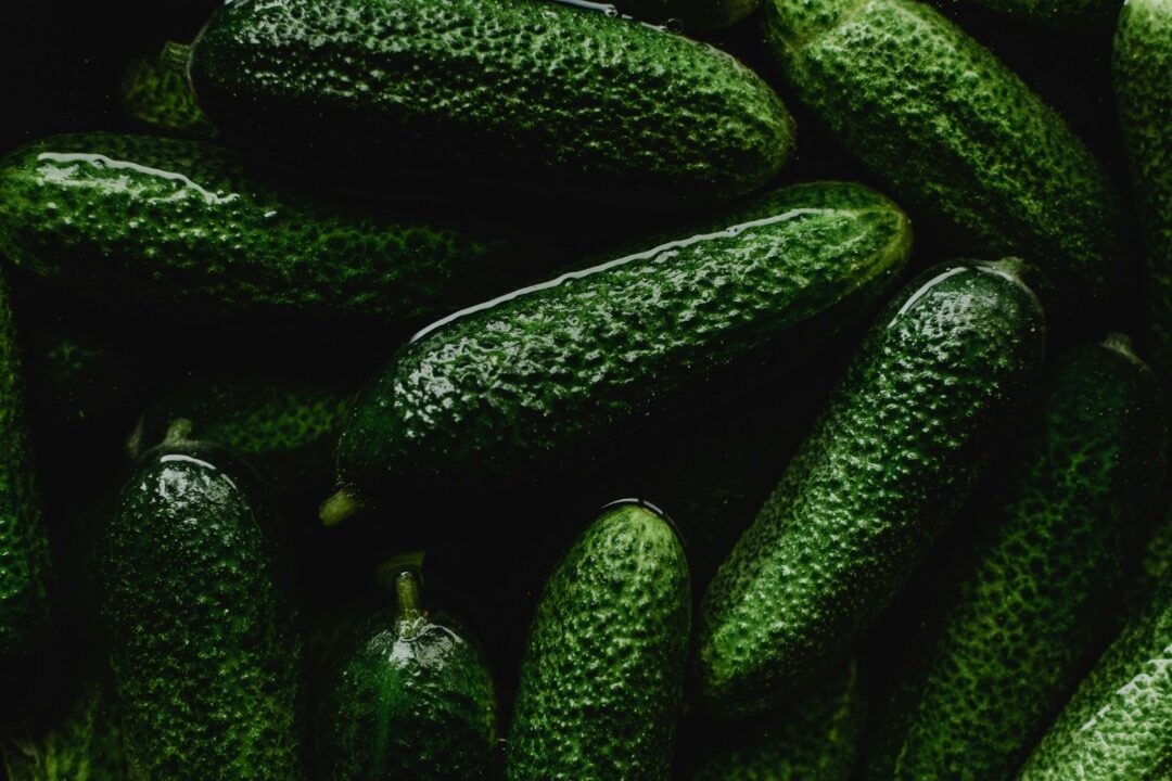 castraveti, istoria castravetelui, cultivare castraveti Romania, calatorii culinare