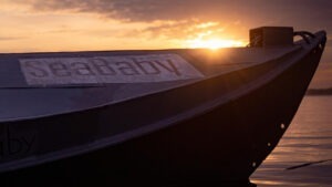 drone, ucraina, magura, cereale