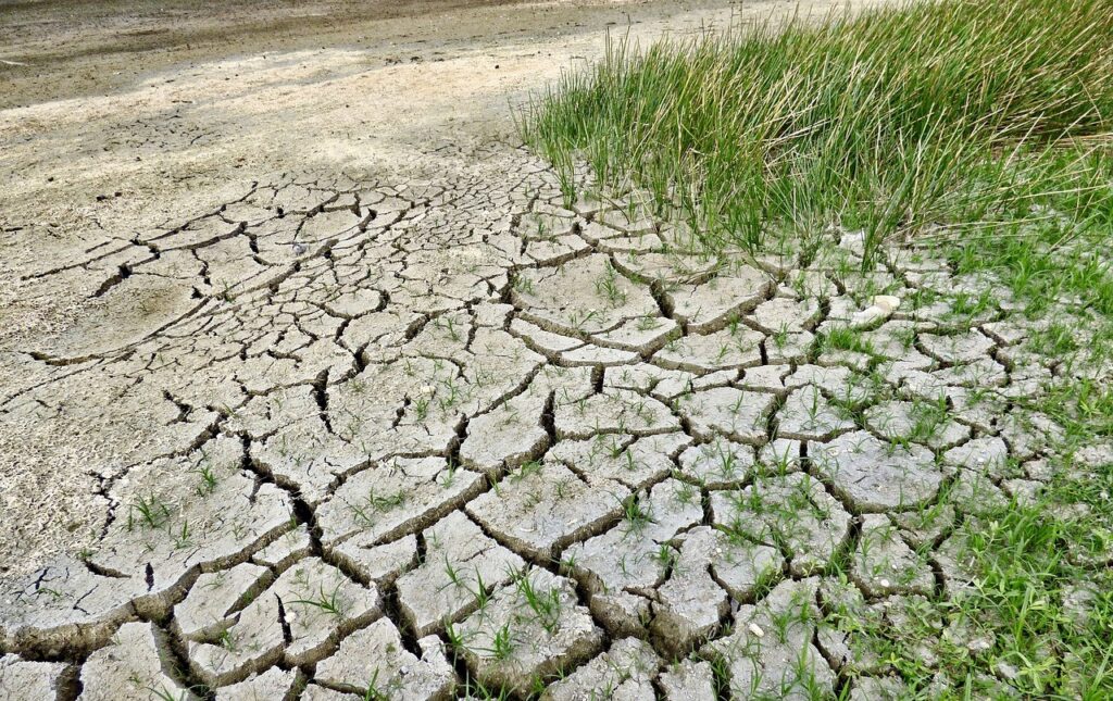 tendinta de aridizare, efectele incalzirii globale, seceta