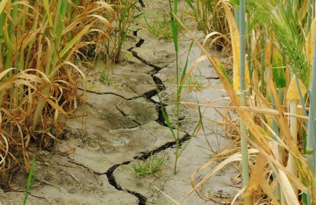 lucrari impotriva secetei, Bihor, finantare european