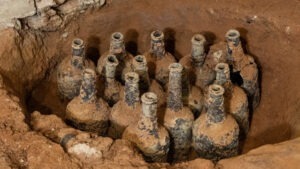 cirese, arheologi, george washington, sclavi