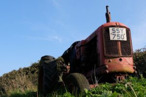 terenuri agricole, abandonate, sua, fermieri