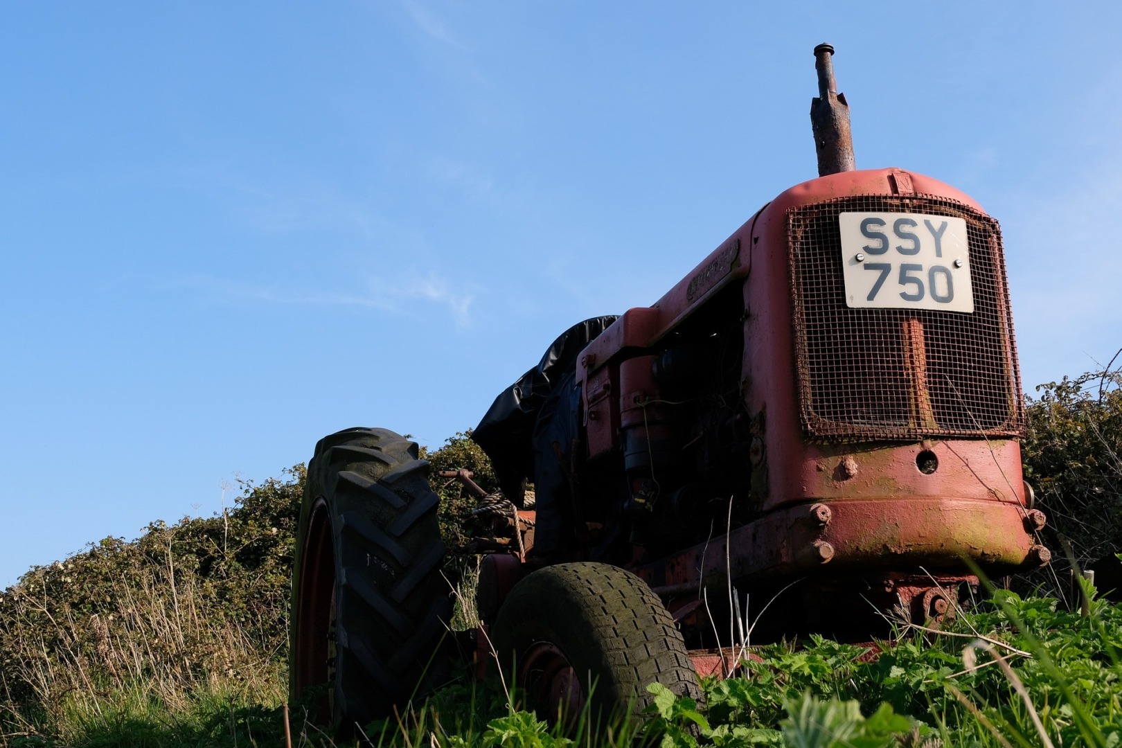 terenuri agricole, abandonate, sua, fermieri