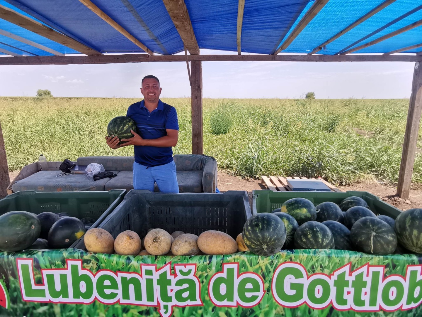 Lubenița de Gottlob