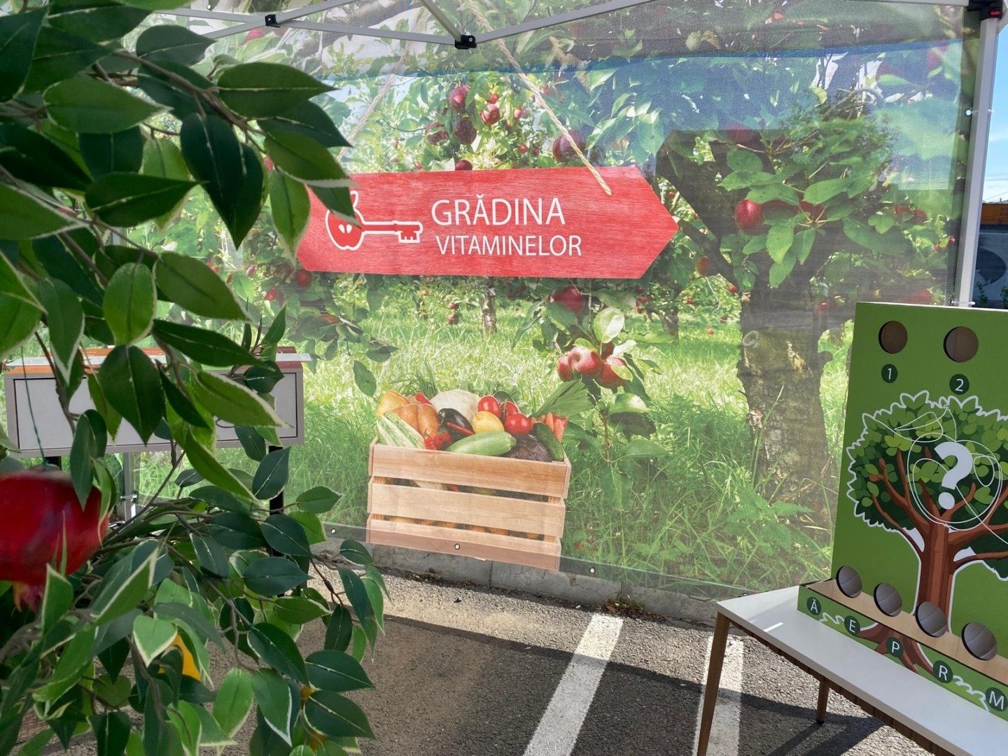 Caravana Akademia Kinderland