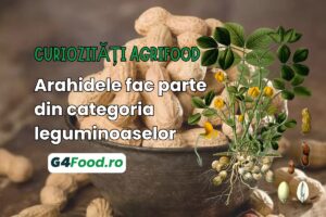 curiozitati agrifood, arahide, alune de padure, leguminoase
