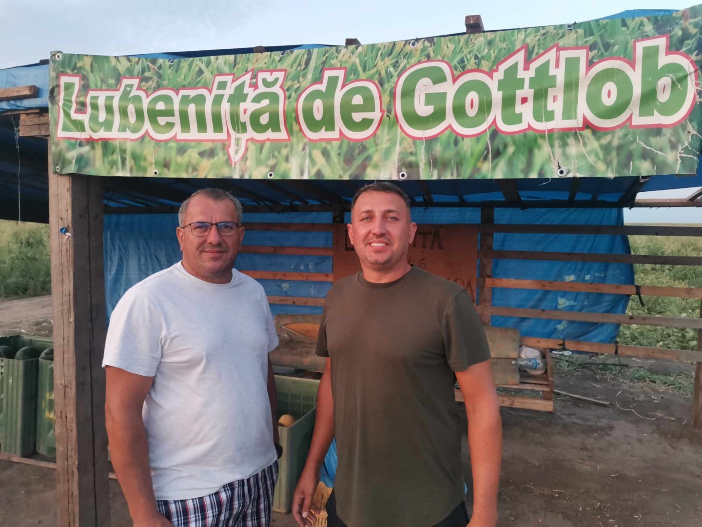 lubenita de gottlob, lubenita, banat, pepene