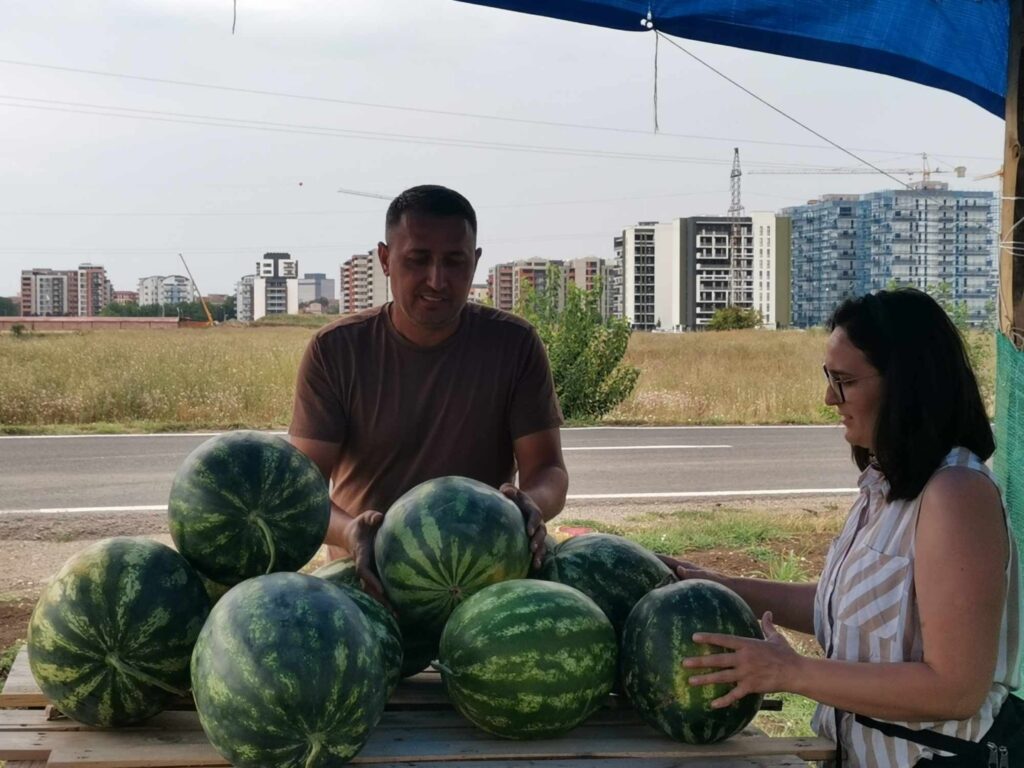 lubenita, timisoara, pepeni, rosii