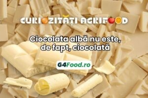 ciocolata alba, ciocolata, cacao, vanilie