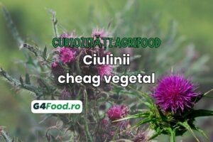 TN SITE- G4Food - Curiozitati agrifood - ciulini