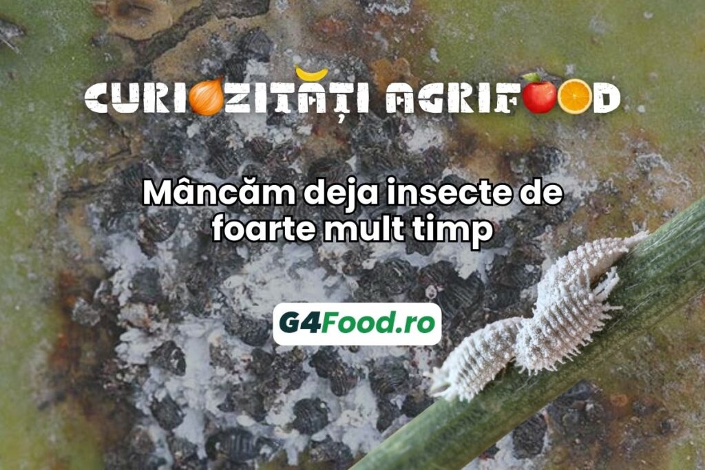 curiozitate agrifood, insecte
