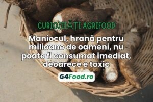curiozitati agrifood, manioc, cassava, otravitor