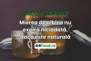 TN SITE- G4Food - Mierea de albine nu expira niciodata