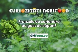coriandru, sapun, curiozitate agrifood