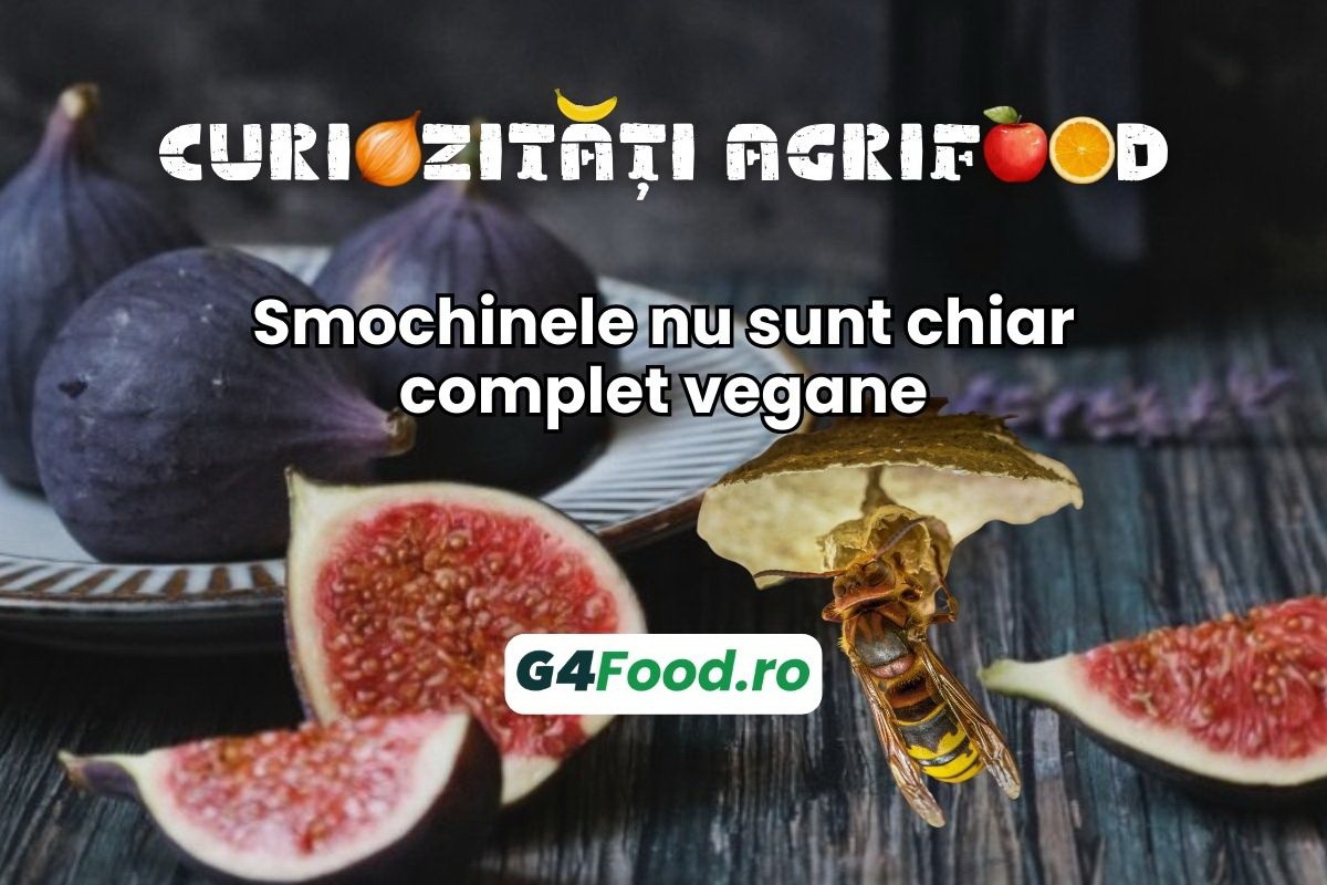 smochine, curiozitae agrifood